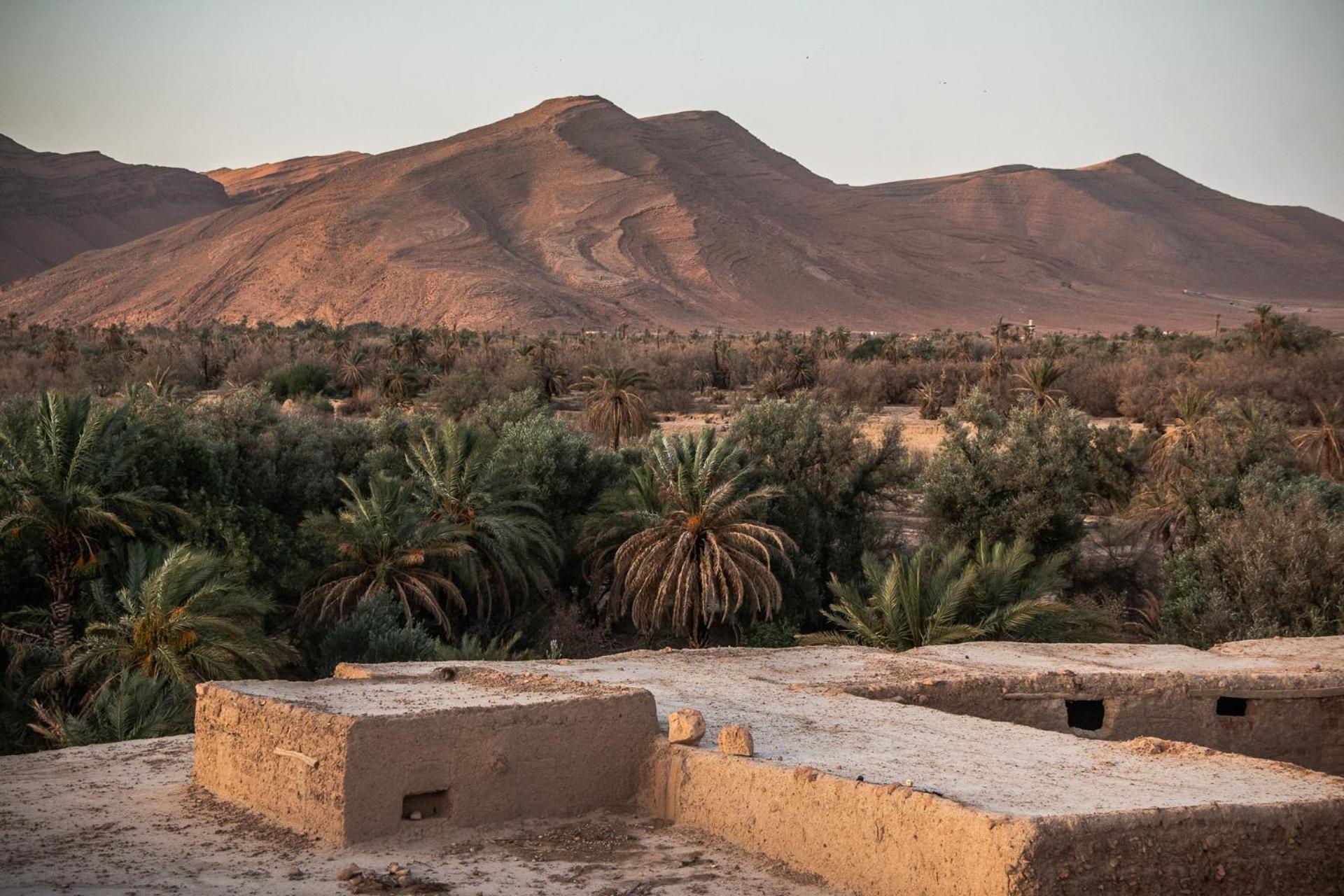 Bed and Breakfast Oasis Travel Tazouka Exteriér fotografie