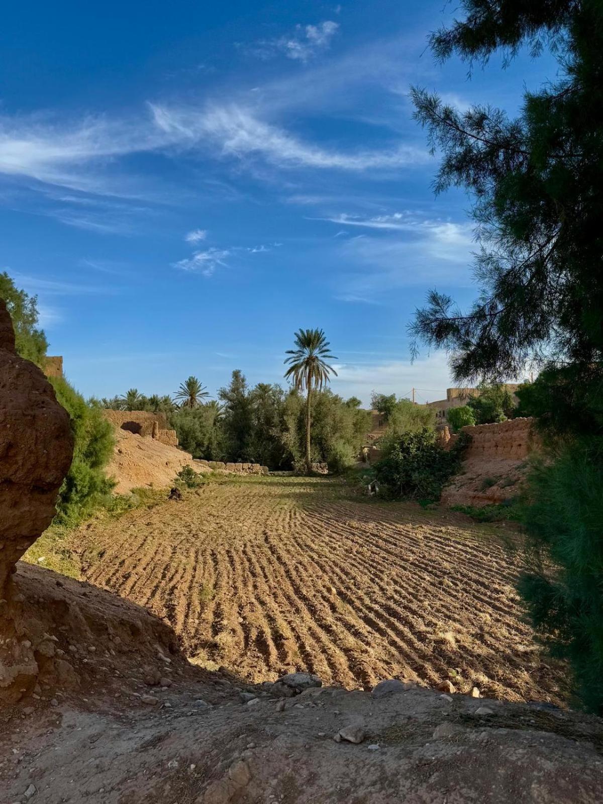 Bed and Breakfast Oasis Travel Tazouka Exteriér fotografie